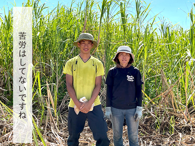 苦労はしてないですね